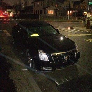 Meet your Posher, Sylvester